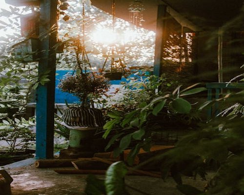 Suasana pagi yang tenang di teras rumah